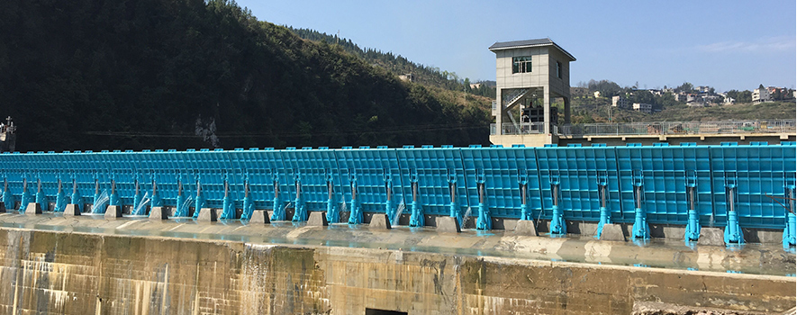 Tongren Hydropower Station Flood Control Function Renovation Project