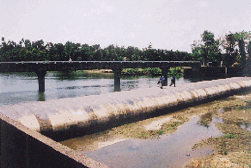 Kaoraid Rubber Dam