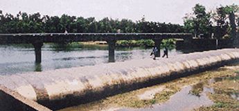 Kaoraid Rubber Dam