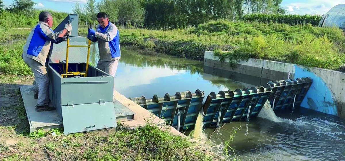 Simplified Elevated Dam